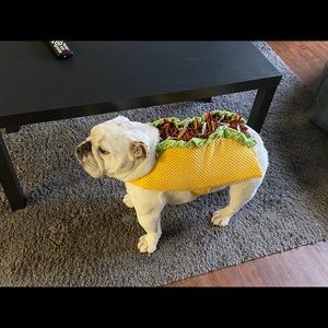 Meet your Posher, Jack